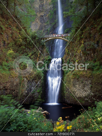 To use this stock image in your creative project, please select the size you need over to the right and click the "Add to Cart" button.
Your downloaded image will come with the Cutcaster watermark removed so don’t worry about the watermark you see on this page. Multnomah Falls stock photo, Multnomah Falls located east of Portland, Oregon. by Mike Norton