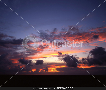 To use this stock image in your creative project, please select the size you need over to the right and click the "Add to Cart" button.
Your downloaded image will come with the Cutcaster watermark removed so don’t worry about the watermark you see on this page. Sunset stock photo, Sunset over the Gulf of Mexico. by Mike Norton