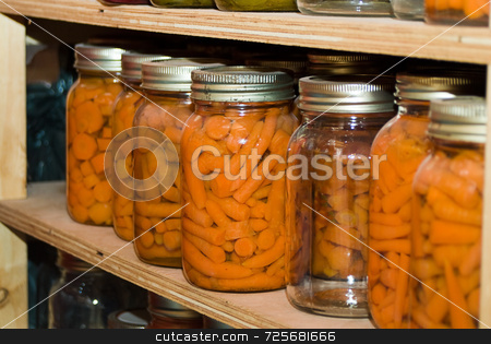 To use this stock image in your creative project, please select the size you need over to the right and click the "Add to Cart" button.
Your downloaded image will come with the Cutcaster watermark removed so don’t worry about the watermark you see on this page. Canned Carrots stock photo, A wooden shelf filled with canned carrots by Richard Nelson