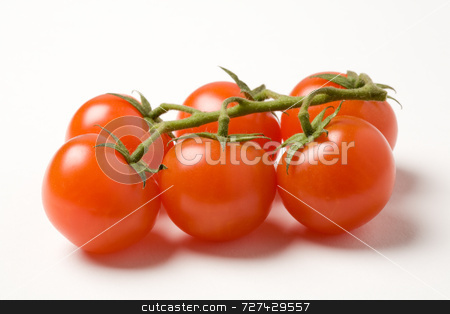To use this stock image in your creative project, please select the size you need over to the right and click the "Add to Cart" button.
Your downloaded image will come with the Cutcaster watermark removed so don’t worry about the watermark you see on this page. Cherry tomatoes on the vine stock photo, Cherry tomatoes on the vine by Jon Stokes