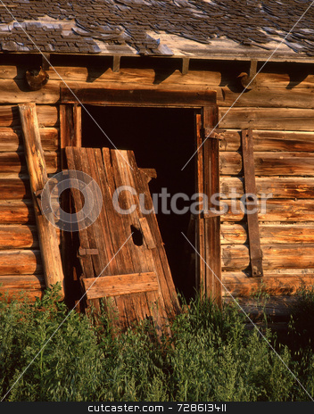 To use this stock image in your creative project, please select the size you need over to the right and click the "Add to Cart" button.
Your downloaded image will come with the Cutcaster watermark removed so don’t worry about the watermark you see on this page. Old Door stock photo, The door to an old barn. by Mike Norton