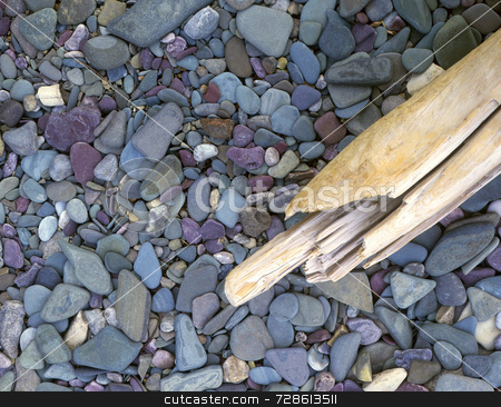 To use this stock image in your creative project, please select the size you need over to the right and click the "Add to Cart" button.
Your downloaded image will come with the Cutcaster watermark removed so don’t worry about the watermark you see on this page. Rocks & Driftwood stock photo, Driftwood on a rocky lakeshore. by Mike Norton