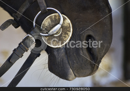 To use this stock image in your creative project, please select the size you need over to the right and click the "Add to Cart" button.
Your downloaded image will come with the Cutcaster watermark removed so don’t worry about the watermark you see on this page. Horse bit stock photo, Close-up of an horse bit by Massimiliano Leban