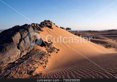 To use this stock image in your creative project, please select the size you need over to the right and click the "Add to Cart" button.
Your downloaded image will come with the Cutcaster watermark removed so don’t worry about the watermark you see on this page. Solidified Lava Stones In Sand Dune stock photo, Solidified Black Lava Stones in Sand Dune by Jan-Peter Von Hunnius