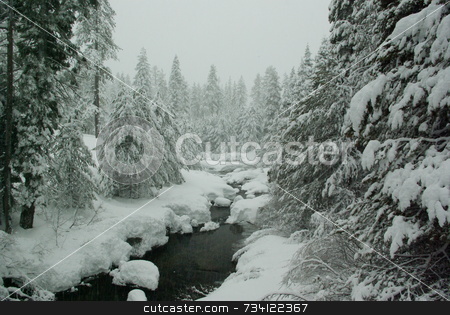To use this stock image in your creative project, please select the size you need over to the right and click the "Add to Cart" button.
Your downloaded image will come with the Cutcaster watermark removed so don’t worry about the watermark you see on this page. Winter Mountain Scene stock photo, A mountain stream flowing through a tree and snow covered landscape in a snowstorm by Lynn Bendickson