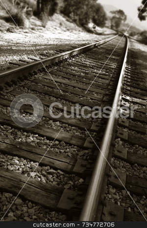 To use this stock image in your creative project, please select the size you need over to the right and click the "Add to Cart" button.
Your downloaded image will come with the Cutcaster watermark removed so don’t worry about the watermark you see on this page. Railroad Tracks stock photo, Railroad tracks shown in a different perspective in black and white by Henrik Lehnerer