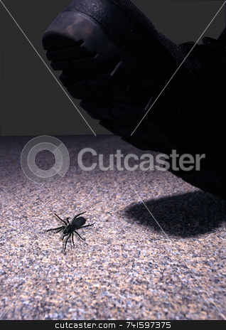 To use this stock image in your creative project, please select the size you need over to the right and click the "Add to Cart" button.
Your downloaded image will come with the Cutcaster watermark removed so don’t worry about the watermark you see on this page. Crushed stock photo, A bug about to be crushed under a boot by Paul Phillips