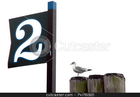 To use this stock image in your creative project, please select the size you need over to the right and click the "Add to Cart" button.
Your downloaded image will come with the Cutcaster watermark removed so don’t worry about the watermark you see on this page. NY pier stock photo, by Aivlis Rios