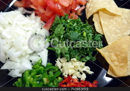 To use this stock image in your creative project, please select the size you need over to the right and click the "Add to Cart" button.
Your downloaded image will come with the Cutcaster watermark removed so don’t worry about the watermark you see on this page. Chopped Ingidients For Hot Salsa stock photo, Ingedients all cut and ready to make a great salsa. by Lynn Bendickson