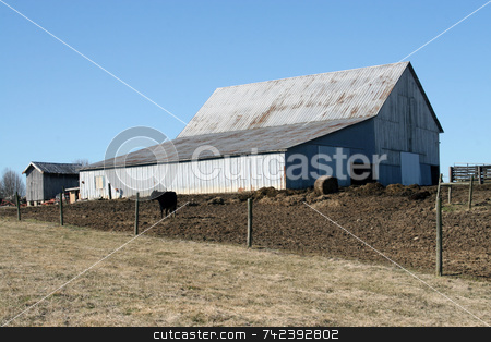 To use this stock image in your creative project, please select the size you need over to the right and click the "Add to Cart" button.
Your downloaded image will come with the Cutcaster watermark removed so don’t worry about the watermark you see on this page. Farm Country stock photo, Barn and cow scene in Kentucky area by Jack Schiffer