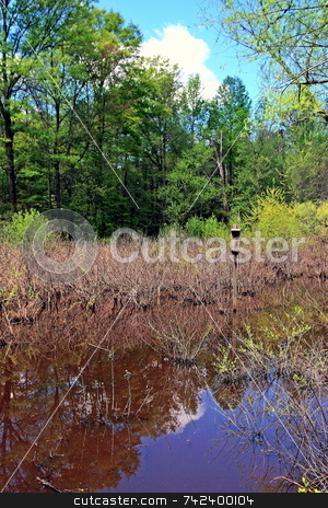 To use this stock image in your creative project, please select the size you need over to the right and click the "Add to Cart" button.
Your downloaded image will come with the Cutcaster watermark removed so don’t worry about the watermark you see on this page. Wildlife Preserve stock photo, Wildlife preserve with woodduck house by Jack Schiffer