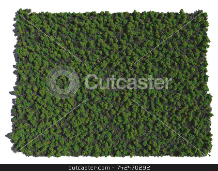 To use this stock image in your creative project, please select the size you need over to the right and click the "Add to Cart" button.
Your downloaded image will come with the Cutcaster watermark removed so don’t worry about the watermark you see on this page. Colorado in Trees stock photo, by Allan Tooley