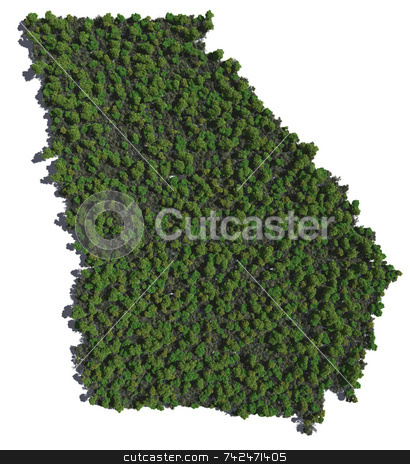 To use this stock image in your creative project, please select the size you need over to the right and click the "Add to Cart" button.
Your downloaded image will come with the Cutcaster watermark removed so don’t worry about the watermark you see on this page. Georgia in Trees stock photo, by Allan Tooley