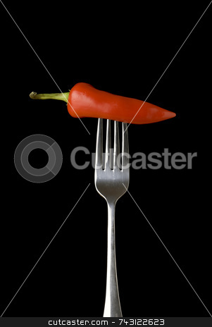 To use this stock image in your creative project, please select the size you need over to the right and click the "Add to Cart" button.
Your downloaded image will come with the Cutcaster watermark removed so don’t worry about the watermark you see on this page. Red pepper on a silver for against a black background stock photo, Red pepper on a silver for against a black background by Vince Clements