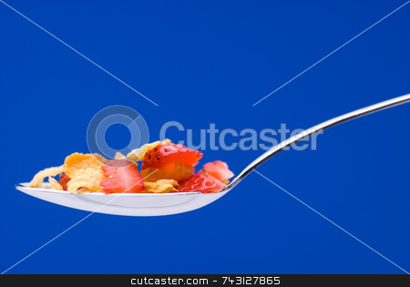To use this stock image in your creative project, please select the size you need over to the right and click the "Add to Cart" button.
Your downloaded image will come with the Cutcaster watermark removed so don’t worry about the watermark you see on this page. Cereal with strawberries on a spoon stock photo, Closeup of cereal with strawberries on a spoon on a stricking blue background by Vince Clements