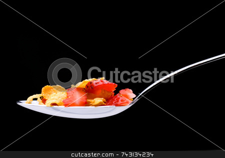 To use this stock image in your creative project, please select the size you need over to the right and click the "Add to Cart" button.
Your downloaded image will come with the Cutcaster watermark removed so don’t worry about the watermark you see on this page. Cereal with strawberries on a spoon stock photo, Closeup of cereal with strawberries on a spoon on a black background by Vince Clements