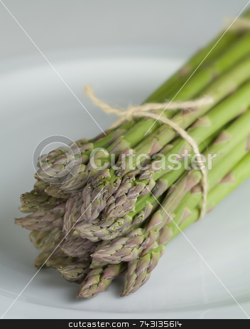 To use this stock image in your creative project, please select the size you need over to the right and click the "Add to Cart" button.
Your downloaded image will come with the Cutcaster watermark removed so don’t worry about the watermark you see on this page. Asparagus on a white stock photo, Asparagus on a white by Vince Clements
