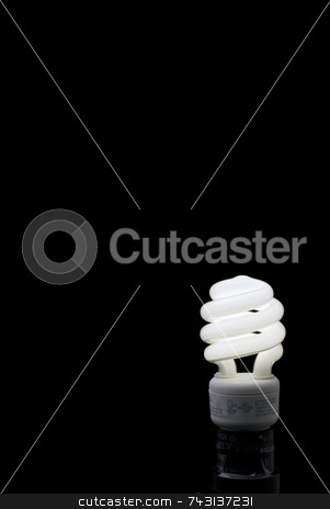 To use this stock image in your creative project, please select the size you need over to the right and click the "Add to Cart" button.
Your downloaded image will come with the Cutcaster watermark removed so don’t worry about the watermark you see on this page. Compact Fluorescent bulb Vertical stock photo, Compact Fluorescent bulb against a black backround with plenty of space for type. by Vince Clements