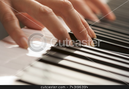 To use this stock image in your creative project, please select the size you need over to the right and click the "Add to Cart" button.
Your downloaded image will come with the Cutcaster watermark removed so don’t worry about the watermark you see on this page. Woman's Fingers on Digital Piano Keys stock photo, Woman's Fingers on Digital Piano Keys by Andy Dean