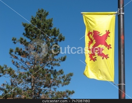 To use this stock image in your creative project, please select the size you need over to the right and click the "Add to Cart" button.
Your downloaded image will come with the Cutcaster watermark removed so don’t worry about the watermark you see on this page. The Lion Ranpant Banner stock photo, The Lion Rampant flag is the Scottish Royal Banner, named after the Lord Lyon King Arms. Dates back to the 14th Century. by Ray Carpenter
