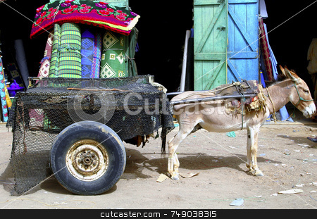 To use this stock image in your creative project, please select the size you need over to the right and click the "Add to Cart" button.
Your downloaded image will come with the Cutcaster watermark removed so don’t worry about the watermark you see on this page. Donkey stock photo, Donnkey with carriage in Mauritania west Africa by Kobby Dagan
