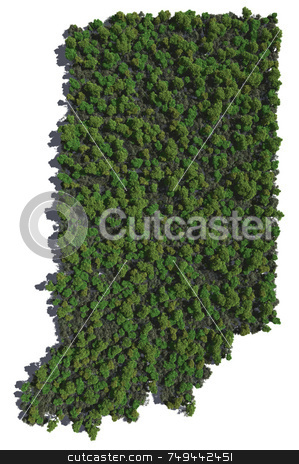To use this stock image in your creative project, please select the size you need over to the right and click the "Add to Cart" button.
Your downloaded image will come with the Cutcaster watermark removed so don’t worry about the watermark you see on this page. Indiana in Trees stock photo, by Allan Tooley