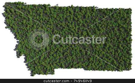 To use this stock image in your creative project, please select the size you need over to the right and click the "Add to Cart" button.
Your downloaded image will come with the Cutcaster watermark removed so don’t worry about the watermark you see on this page. Montana in Trees stock photo, by Allan Tooley