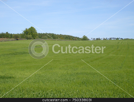To use this stock image in your creative project, please select the size you need over to the right and click the "Add to Cart" button.
Your downloaded image will come with the Cutcaster watermark removed so don’t worry about the watermark you see on this page. Field in countryside stock photo, Field in countryside, north yorkshire moors national park, England. by Martin Crowdy