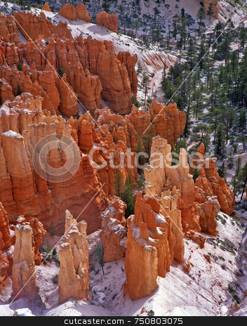 To use this stock image in your creative project, please select the size you need over to the right and click the "Add to Cart" button.
Your downloaded image will come with the Cutcaster watermark removed so don’t worry about the watermark you see on this page. Bryce Canyon 2 stock photo, Snow on the hoodoos in Bryce Canyon National Park, Utah. by Mike Norton
