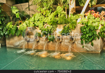 To use this stock image in your creative project, please select the size you need over to the right and click the "Add to Cart" button.
Your downloaded image will come with the Cutcaster watermark removed so don’t worry about the watermark you see on this page. Modern Fountain stock photo, A lush modern fountain mixed with plants by Kevin Tietz