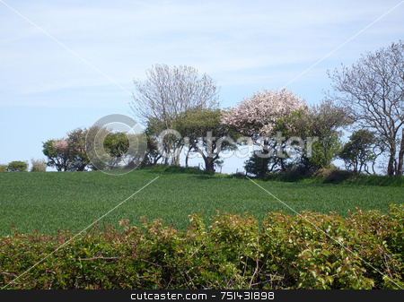 To use this stock image in your creative project, please select the size you need over to the right and click the "Add to Cart" button.
Your downloaded image will come with the Cutcaster watermark removed so don’t worry about the watermark you see on this page. Rural landscape stock photo, Rural countryside landscape of North Yorkshire Moors National Park, England. by Martin Crowdy