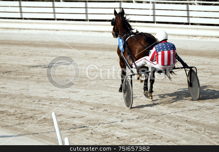 To use this stock image in your creative project, please select the size you need over to the right and click the "Add to Cart" button.
Your downloaded image will come with the Cutcaster watermark removed so don’t worry about the watermark you see on this page. Harness racing stock photo, Trot horse riding in a race track by Massimiliano Leban