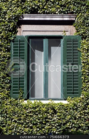 To use this stock image in your creative project, please select the size you need over to the right and click the "Add to Cart" button.
Your downloaded image will come with the Cutcaster watermark removed so don’t worry about the watermark you see on this page. Window and ivy stock photo, Open green window surrounded by climber ivy by Massimiliano Leban