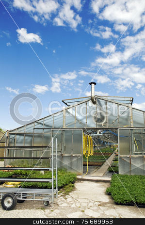 To use this stock image in your creative project, please select the size you need over to the right and click the "Add to Cart" button.
Your downloaded image will come with the Cutcaster watermark removed so don’t worry about the watermark you see on this page. Greenhouse stock photo, External view of a glasshouse against a sky with clouds by Massimiliano Leban