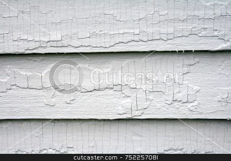 To use this stock image in your creative project, please select the size you need over to the right and click the "Add to Cart" button.
Your downloaded image will come with the Cutcaster watermark removed so don’t worry about the watermark you see on this page. Old Paint on Wood stock photo, Old paint on wood siding, showing crackling and weathering, needing restoration; useful as pattern, background, design by Tom and Beth Pulsipher