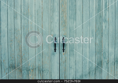 To use this stock image in your creative project, please select the size you need over to the right and click the "Add to Cart" button.
Your downloaded image will come with the Cutcaster watermark removed so don’t worry about the watermark you see on this page. Close-up Closed Door stock photo, Close-up of a set of closed double doors by Richard Nelson