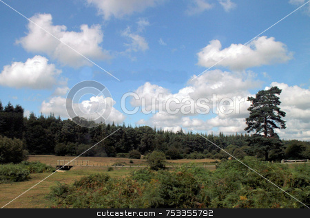 To use this stock image in your creative project, please select the size you need over to the right and click the "Add to Cart" button.
Your downloaded image will come with the Cutcaster watermark removed so don’t worry about the watermark you see on this page. UK Countryside stock photo, A view of the New Forest in the UK. by Lucy Clark