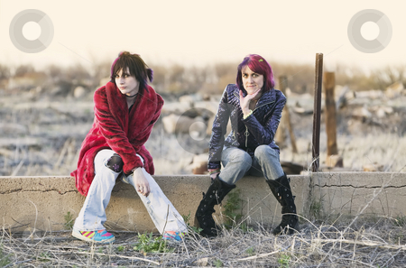 To use this stock image in your creative project, please select the size you need over to the right and click the "Add to Cart" button.
Your downloaded image will come with the Cutcaster watermark removed so don’t worry about the watermark you see on this page. Girls on a Wall stock photo, Two Fashion Girls Sitting on a Cement wall by Scott Griessel