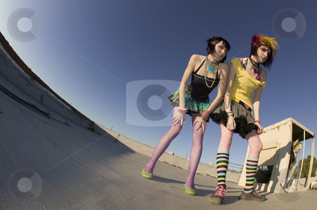 To use this stock image in your creative project, please select the size you need over to the right and click the "Add to Cart" button.
Your downloaded image will come with the Cutcaster watermark removed so don’t worry about the watermark you see on this page. Girls on the Roof stock photo, Fisheye shot of girls in brightly colored clothing on a roof by Scott Griessel