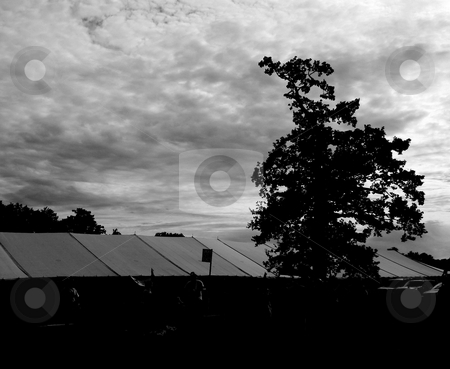 To use this stock image in your creative project, please select the size you need over to the right and click the "Add to Cart" button.
Your downloaded image will come with the Cutcaster watermark removed so don’t worry about the watermark you see on this page. Spooky Tree stock photo, A spooky tree in black and white. by Lucy Clark