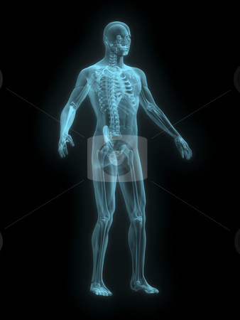 To use this stock image in your creative project, please select the size you need over to the right and click the "Add to Cart" button.
Your downloaded image will come with the Cutcaster watermark removed so don’t worry about the watermark you see on this page. X-ray of man blue front side view stock photo, X-ray of man blue front side view on black background by John Teeter