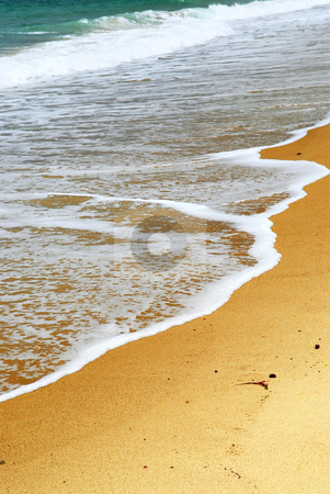 To use this stock image in your creative project, please select the size you need over to the right and click the "Add to Cart" button.
Your downloaded image will come with the Cutcaster watermark removed so don’t worry about the watermark you see on this page. Sandy ocean beach stock photo, Ocean wave advancing on a sandy beach, natural background by Elena Elisseeva