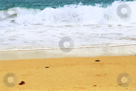 To use this stock image in your creative project, please select the size you need over to the right and click the "Add to Cart" button.
Your downloaded image will come with the Cutcaster watermark removed so don’t worry about the watermark you see on this page. Sandy ocean beach stock photo, Ocean wave advancing on a sandy beach by Elena Elisseeva