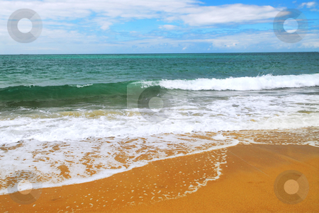 To use this stock image in your creative project, please select the size you need over to the right and click the "Add to Cart" button.
Your downloaded image will come with the Cutcaster watermark removed so don’t worry about the watermark you see on this page. Sandy ocean beach stock photo, Ocean wave advancing on a yellow sandy beach by Elena Elisseeva