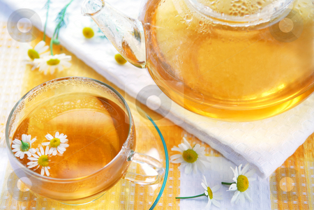 To use this stock image in your creative project, please select the size you need over to the right and click the "Add to Cart" button.
Your downloaded image will come with the Cutcaster watermark removed so don’t worry about the watermark you see on this page. Chamomile tea stock photo, Teacup and teapot with soothing chamomile tea by Elena Elisseeva