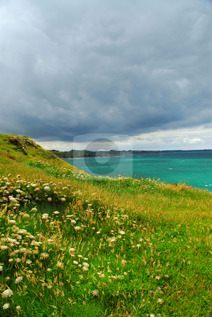 To use this stock image in your creative project, please select the size you need over to the right and click the "Add to Cart" button.
Your downloaded image will come with the Cutcaster watermark removed so don’t worry about the watermark you see on this page. Atlantic coast in Brittany stock photo, Landscape of rocky Atlantic coast in Brittany France with stormy sky by Elena Elisseeva