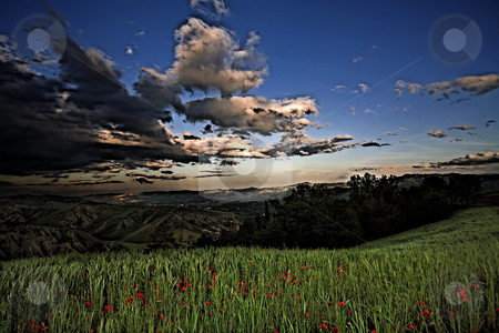 To use this stock image in your creative project, please select the size you need over to the right and click the "Add to Cart" button.
Your downloaded image will come with the Cutcaster watermark removed so don’t worry about the watermark you see on this page. ... an heartland landscape stock photo, by emiliano beltrani