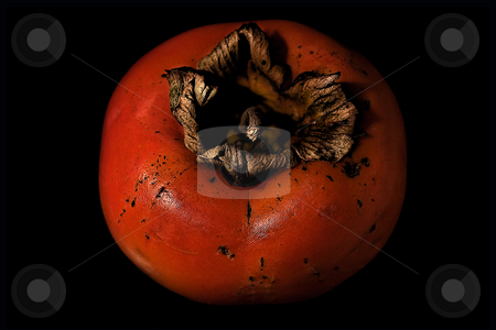 To use this stock image in your creative project, please select the size you need over to the right and click the "Add to Cart" button.
Your downloaded image will come with the Cutcaster watermark removed so don’t worry about the watermark you see on this page. ... a persimmon stock photo, by emiliano beltrani