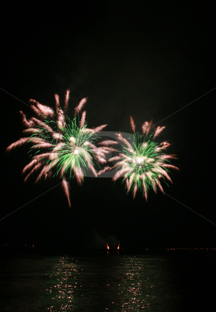 To use this stock image in your creative project, please select the size you need over to the right and click the "Add to Cart" button.
Your downloaded image will come with the Cutcaster watermark removed so don’t worry about the watermark you see on this page. Green spider-like fireworks stock photo, Green and white spider-like fireworks by the bay by Jonas Marcos San Luis