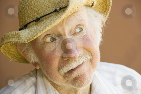 To use this stock image in your creative project, please select the size you need over to the right and click the "Add to Cart" button.
Your downloaded image will come with the Cutcaster watermark removed so don’t worry about the watermark you see on this page. Senior Man in a Cowboy Hat stock photo, Happy Senior Man in a Straw Cowboy Hat by Scott Griessel